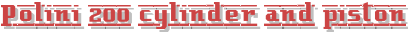 Polini 200 cylinder and piston